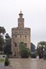 gold tower