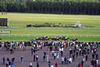 races
