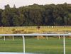 races